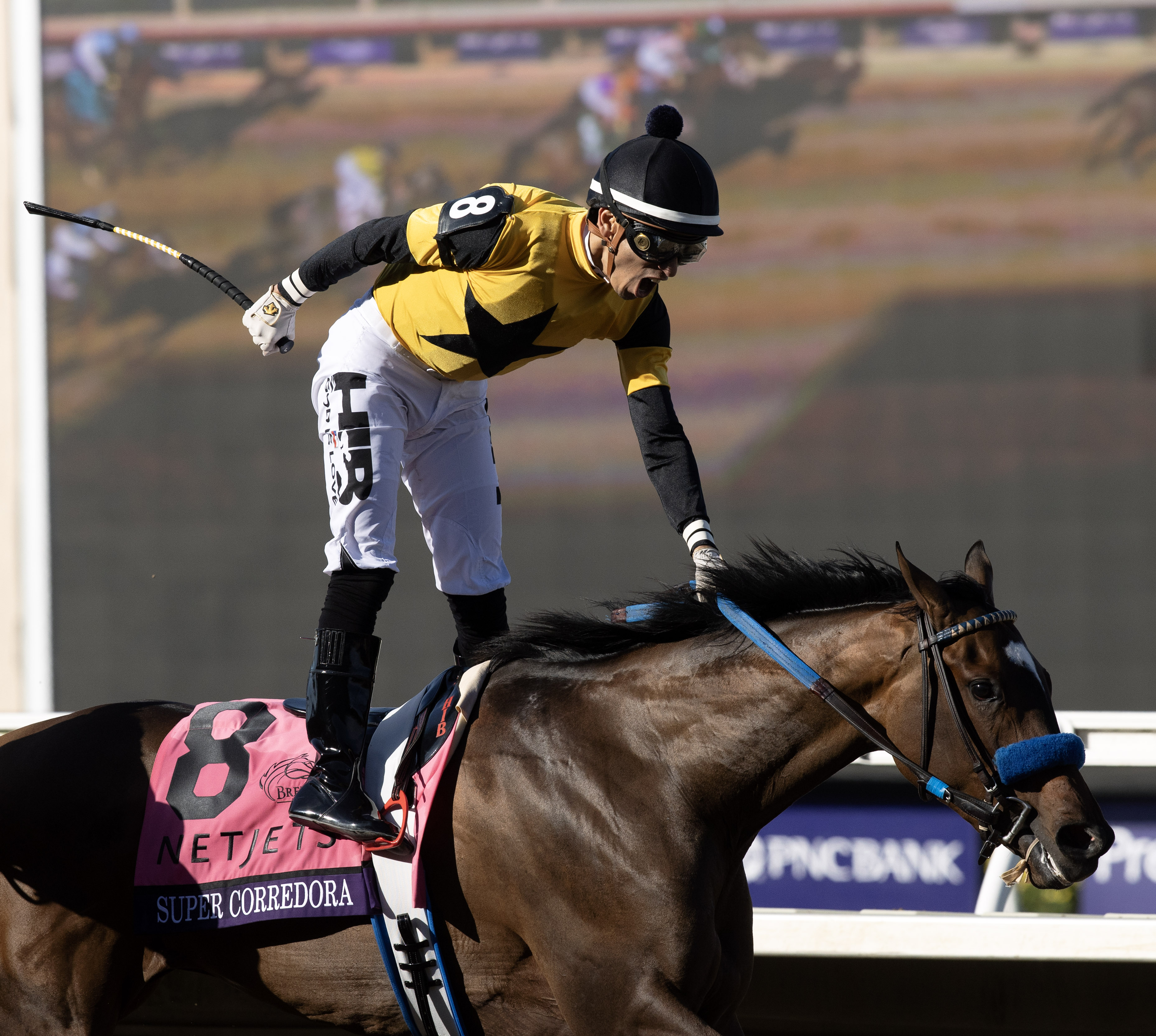 Sadler bullish on Breeders' Cup winner Super Corredora